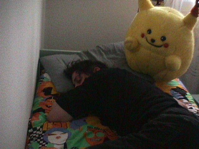 nobo.jpg (41901 byte)