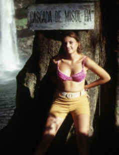 wpe1.jpg (8304 byte)